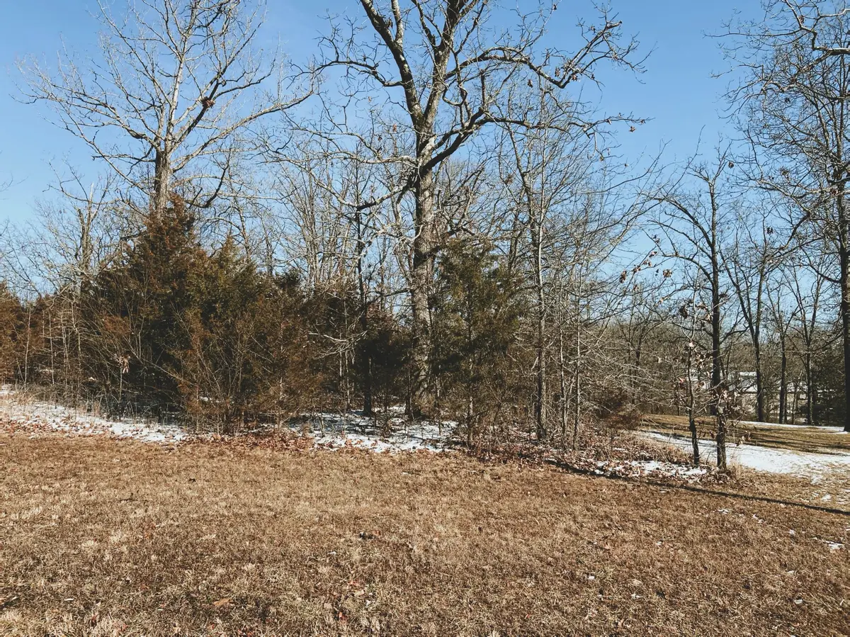 000 Rhonda Drive Lot 3, West Plains, MO 65775 - #1