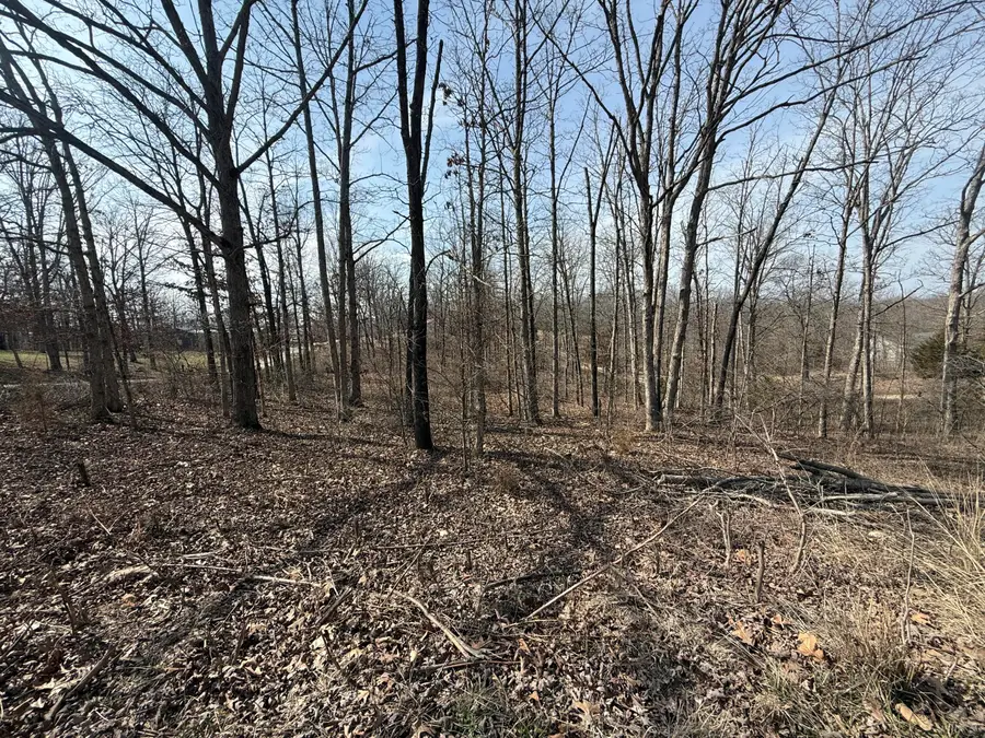 373 Private Road 2016, West Plains, MO 65775 - #2