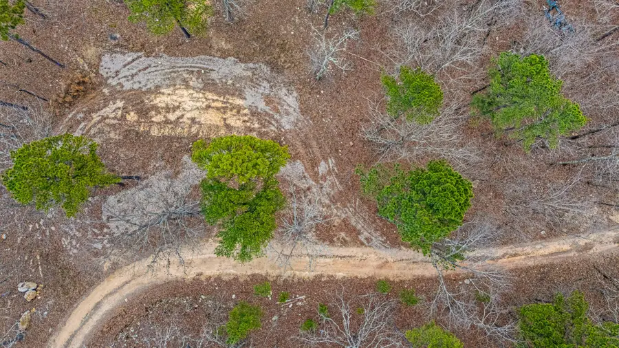 467 Timberline Road, Willow Springs, MO 65793 - #3