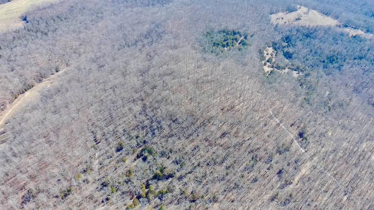 Rt 1 County Rd 14-531, Ava, MO 65608 - #1