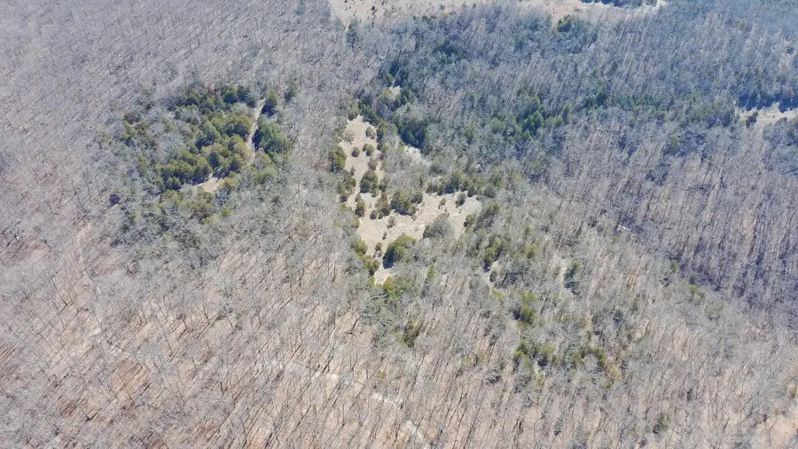 Rt 1 County Rd 14-531, Ava, MO 65608 - #3