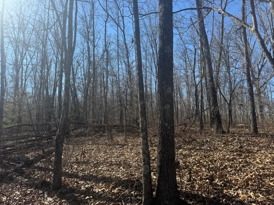 6739 Co Road W #76-430, Ava, MO 65608 - #2