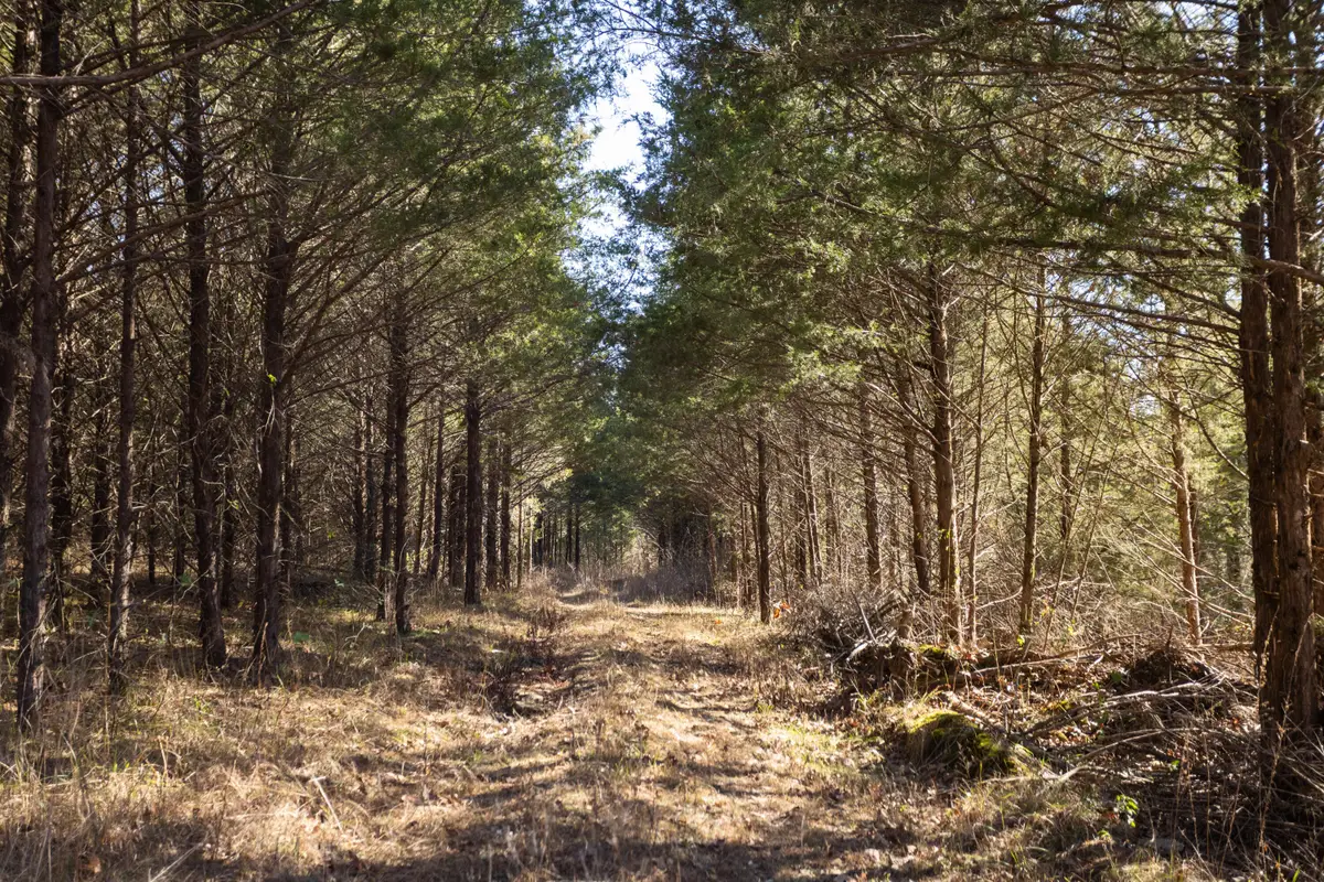 406 Horner Drive, Bradleyville, MO 65614 - #1