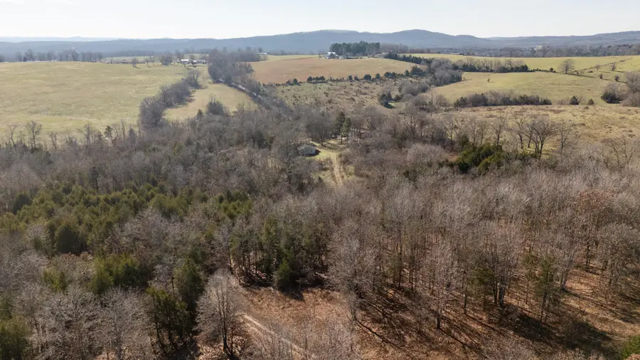 406 Horner Drive, Bradleyville, MO 65614 - #3