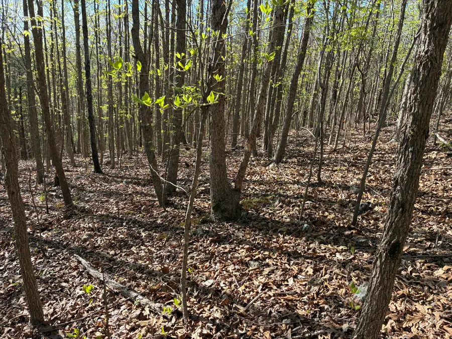 000 Honey Acres Lane, Anderson, MO 64831 - #3