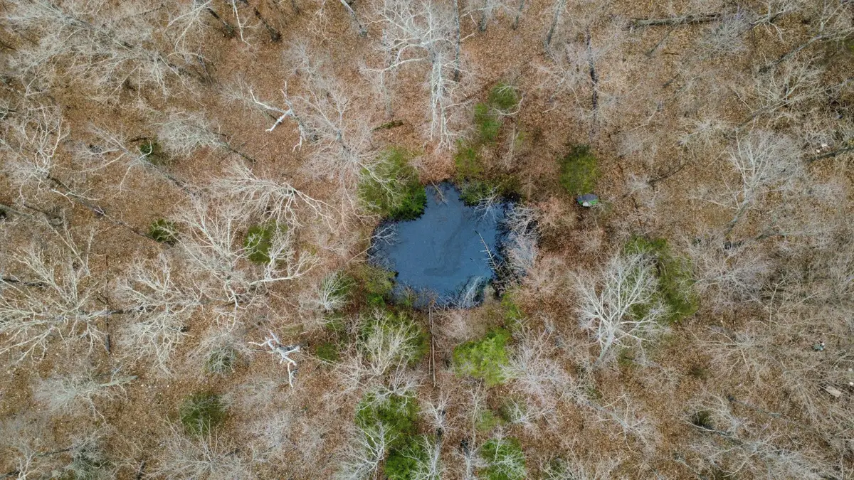 000 County Road 302, Alton, MO 65606 - #1