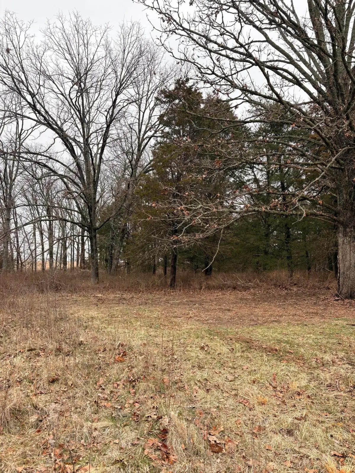 000 Chicory Road #Tract 3, Rogersville, MO 65742 - #1