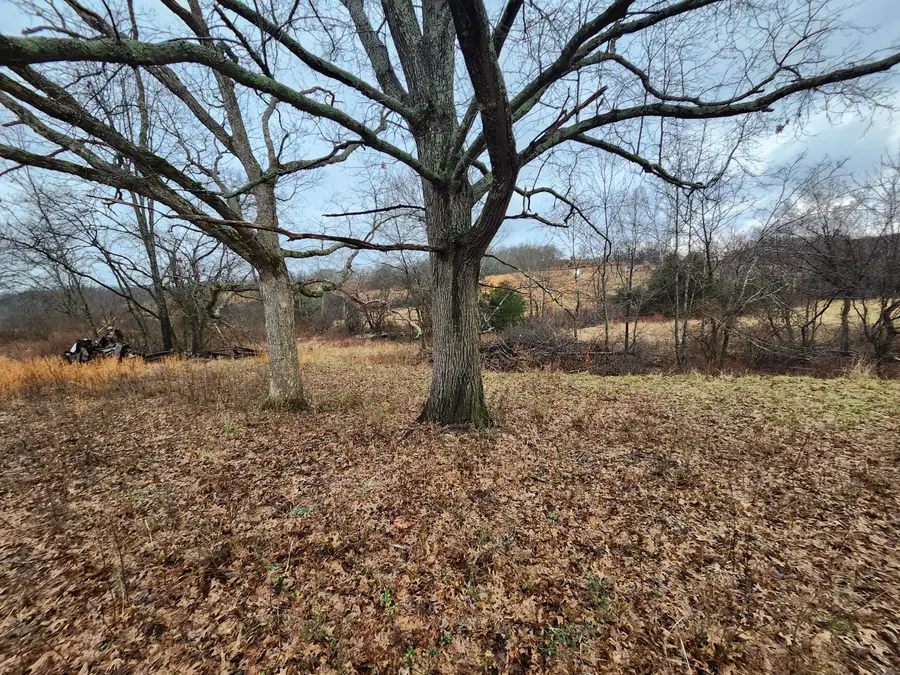 Tbd County Road 149, Mountain Grove, MO 65711 - #2