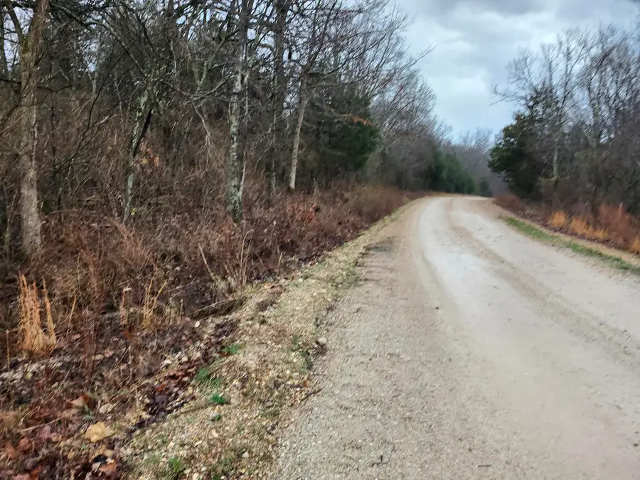Tbd County Road 149, Mountain Grove, MO 65711 - #3