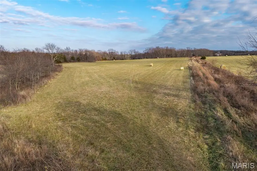 000 Pine Tree Drive, Lebanon, MO 65536 - #2