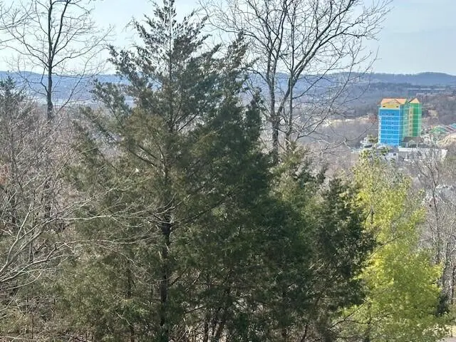 32 Canyon Parkway, Branson, MO 65616 - #2