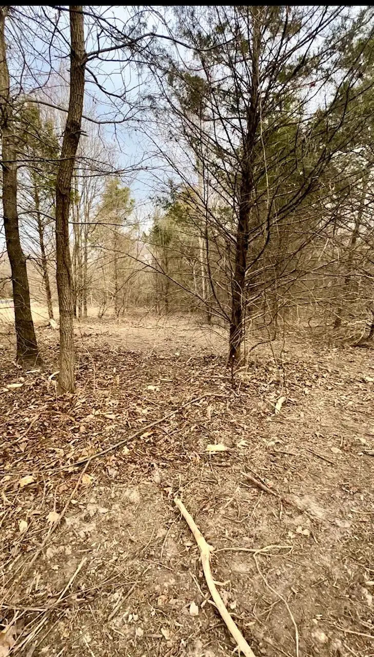 Lot 6 Mack Road, Nixa, MO 65714 - #2