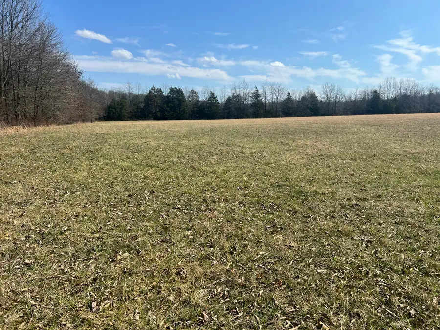 1203 S Farm Road 241, Rogersville, MO 65742 - #2