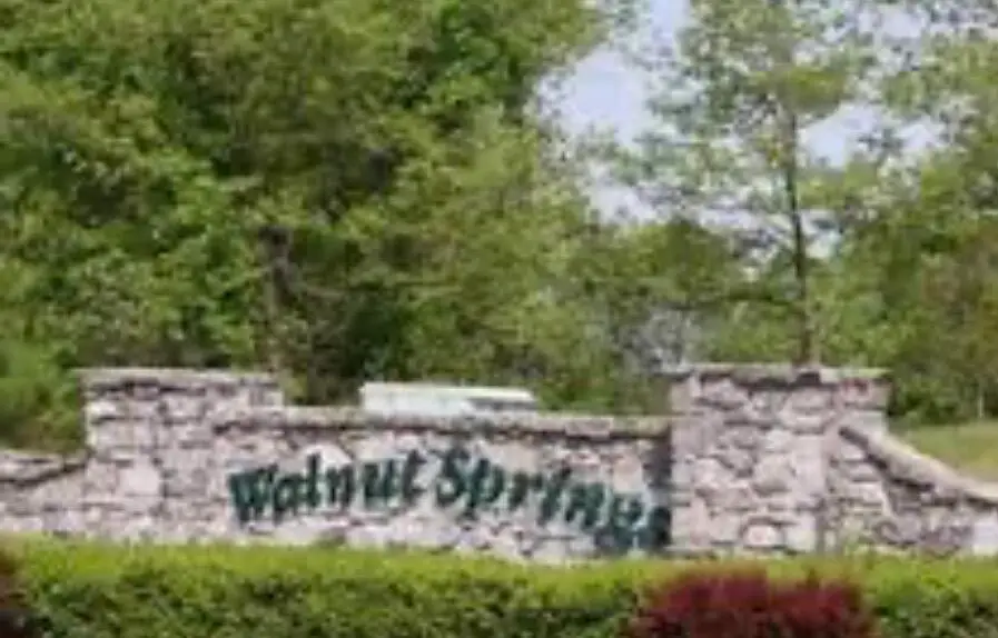 000 Panorama Drive #Lot 162, Cape Fair, MO 65624 - #1