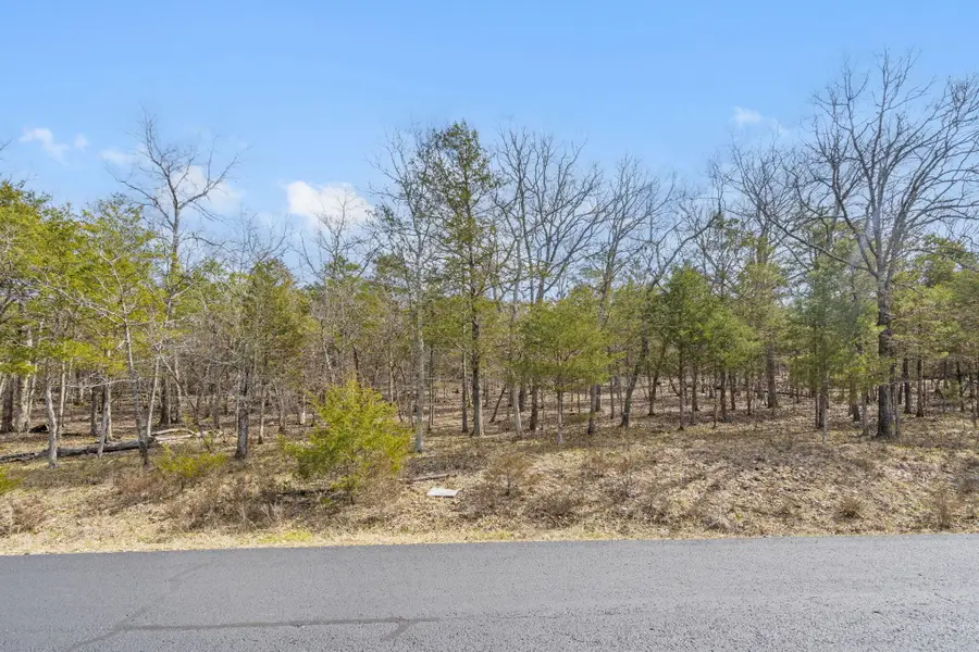 109 Appaloosa Trail, Saddlebrooke, MO 65630 - #2