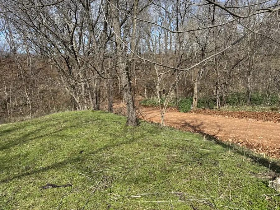 421 Farm Road 2160, Exeter, MO 65647 - #3