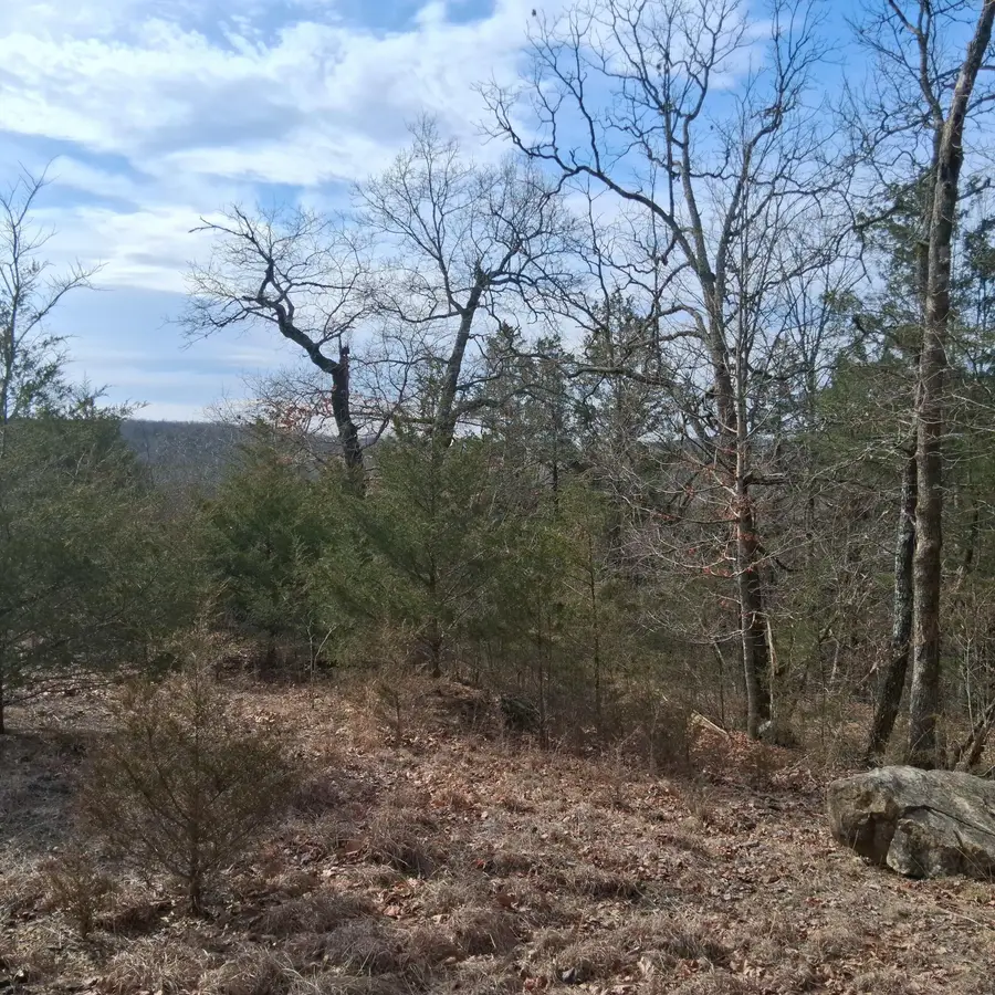 000 Greers Ferry Road, Branson, MO 65616 - #2