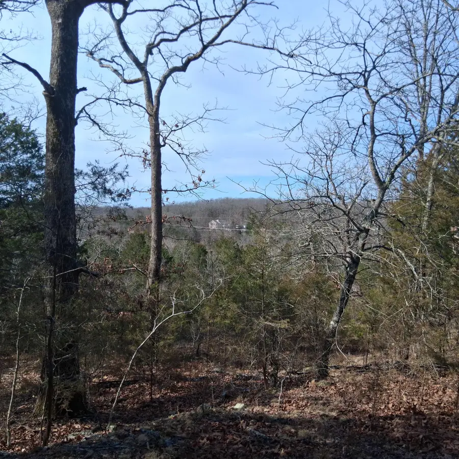 000 Greers Ferry Road, Branson, MO 65616 - #2