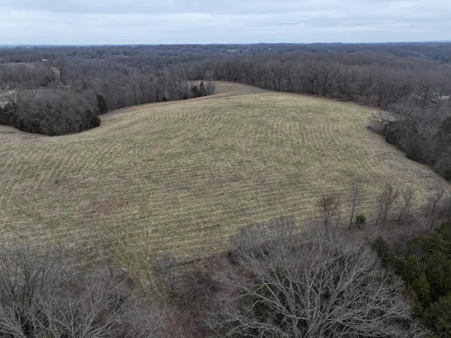 000 Warner Road, Crane, MO 65633 - #3