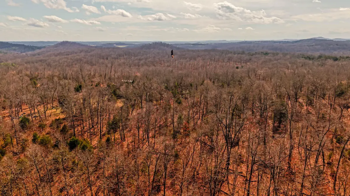 000 Private Drive County Road 803b, Gainesville, MO 65655 - #1