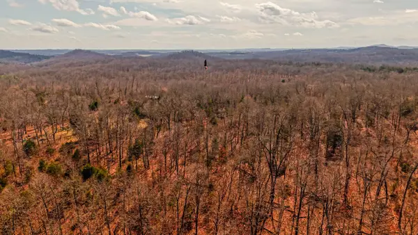 000 Private Drive County Road 803b, Gainesville, MO 65655