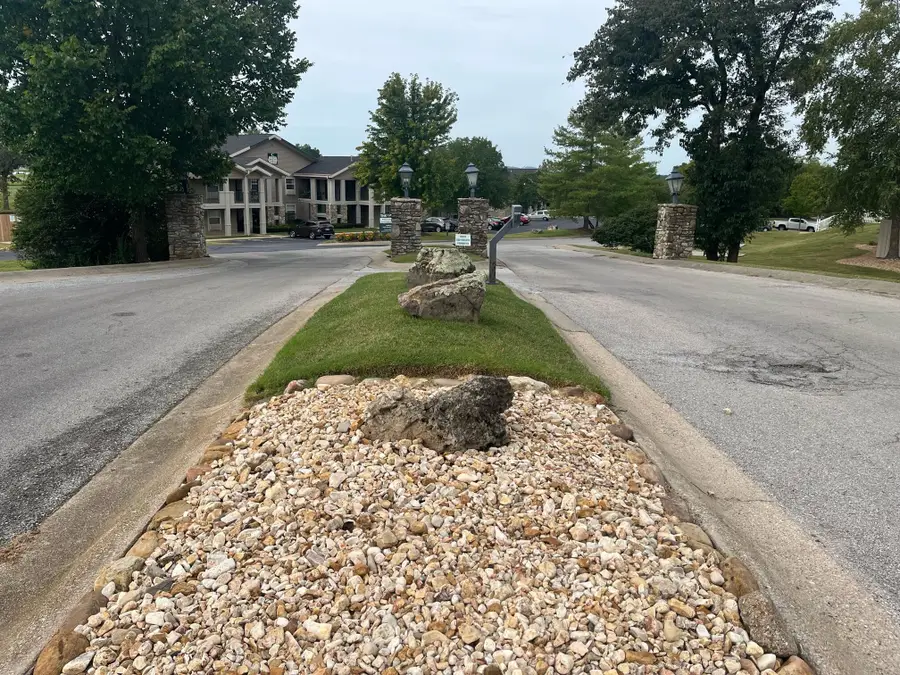 110 W Rockford Drive, Branson, MO 65616 - #3