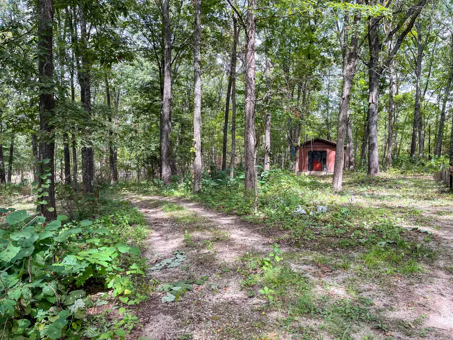 10140 County Road 6610, West Plains, MO 65775 - #3