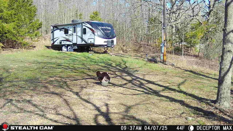 4991 Hwy Hh, Hartville, MO 65667 - #3