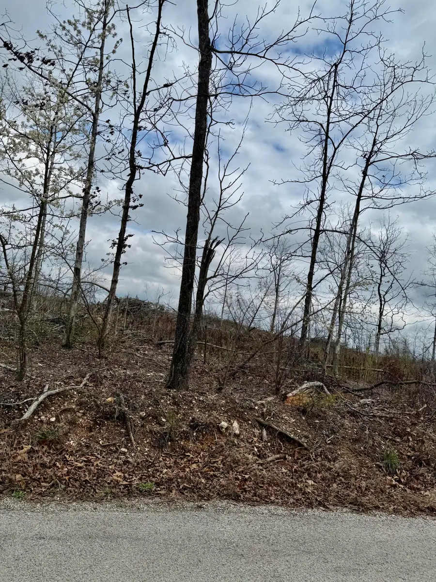 1365 County Road 3500, Mountain View, MO 65548 - #3