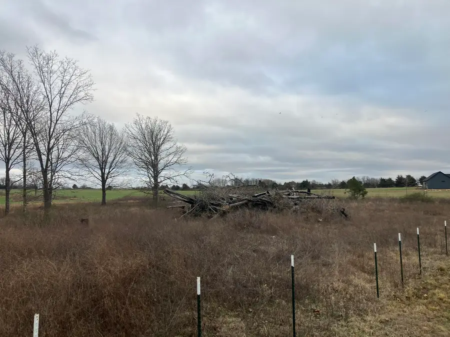 000 Timber View Drive, Seymour, MO 65746 - #2