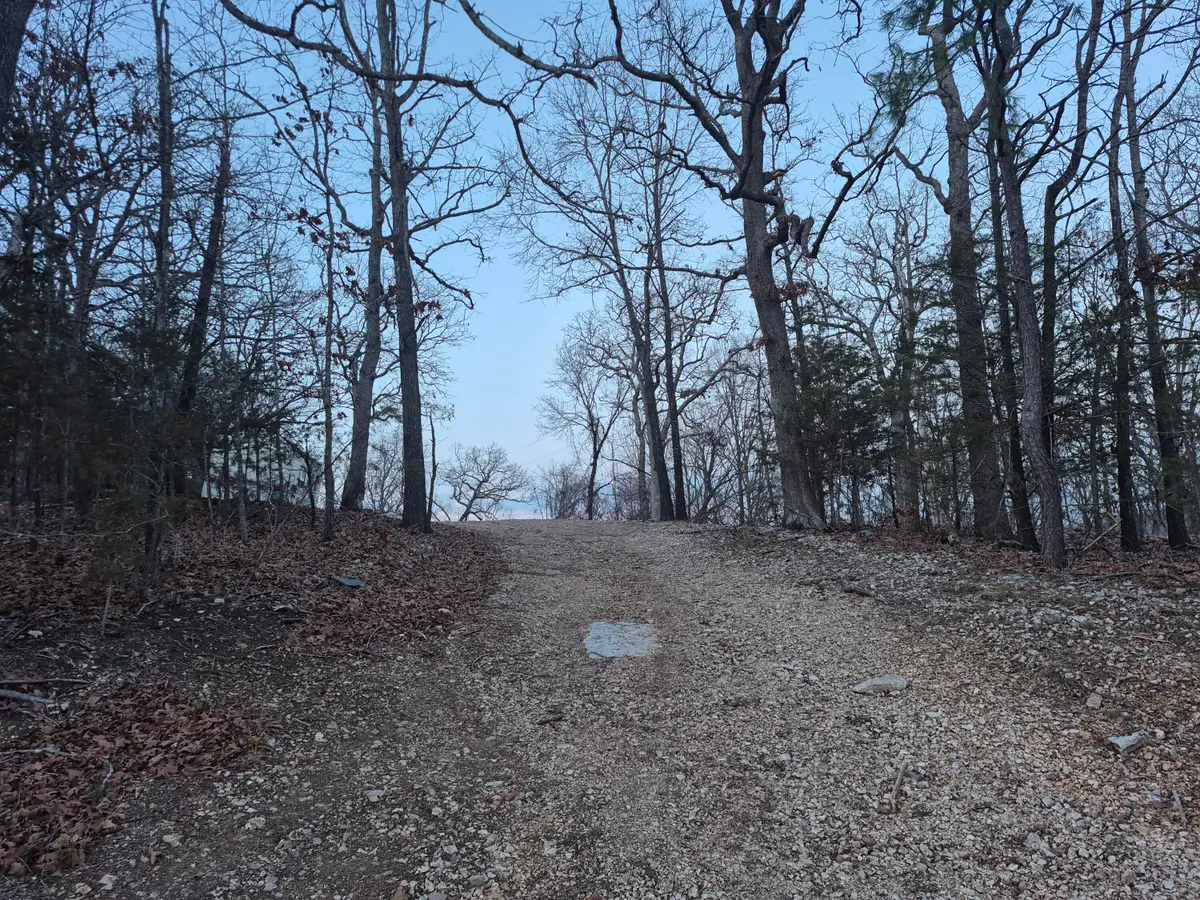 605 Shelton Drive, Hollister, MO 65672 - #1