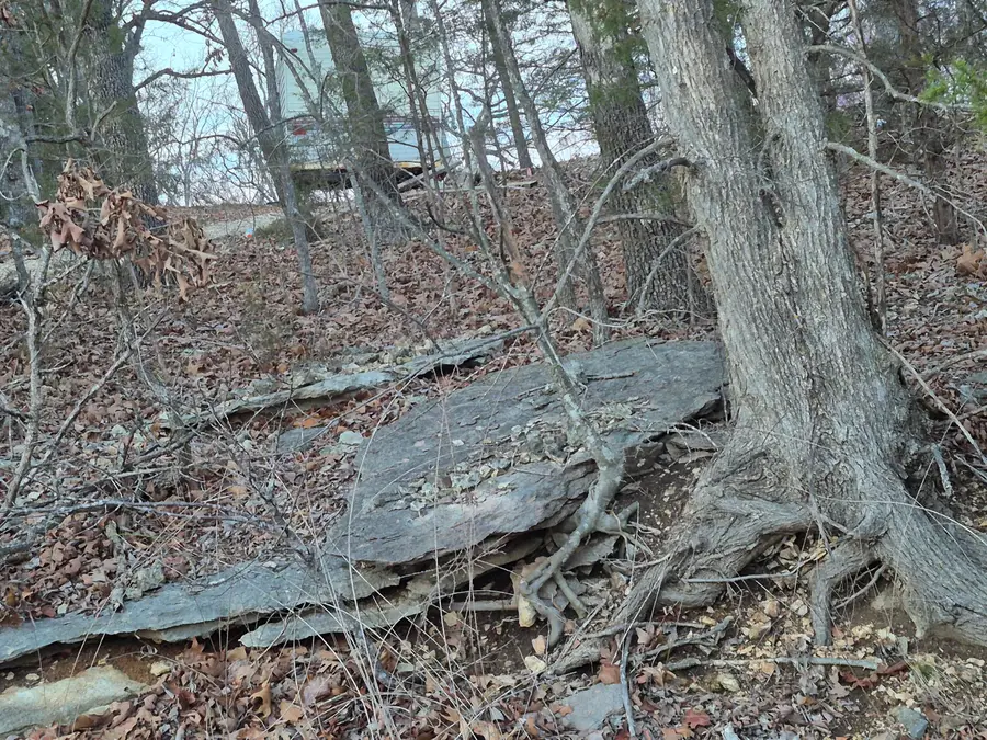 605 Shelton Drive, Hollister, MO 65672 - #2