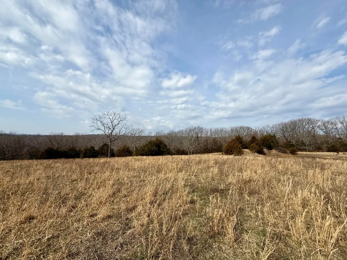 000 Highway M #Tract D, Cabool, MO 65689 - #1