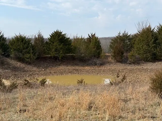 000 Highway M #Tract D, Cabool, MO 65689 - #3