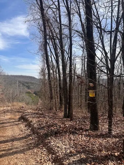 Tbd County Road 220, Eureka Springs, AR 72632 - #3