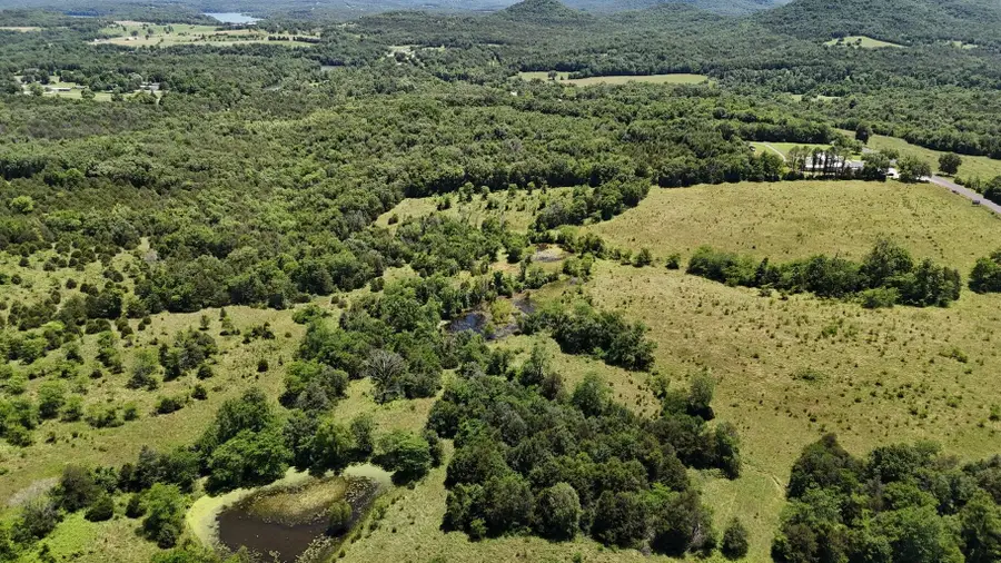 Tract 3 86 Highway, Eagle Rock, MO 65641 - #2