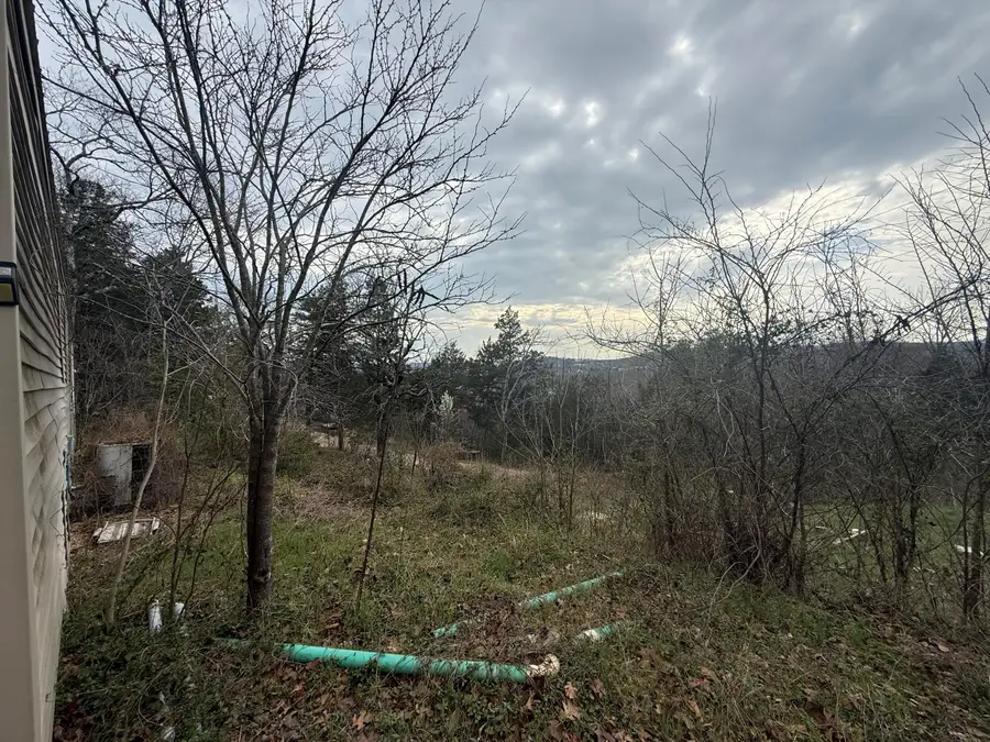 242 Midway Drive, Cape Fair, MO 65624 - #2