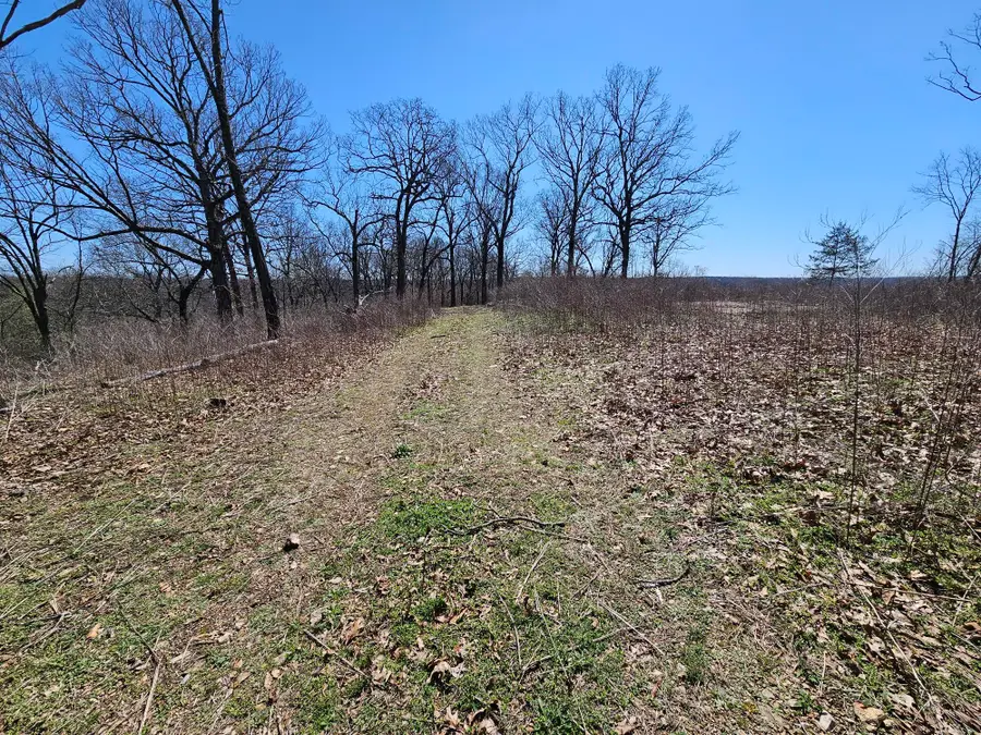 72 Elk Springs Road, Noel, MO 64854 - #2