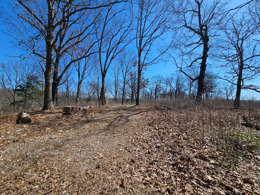 72 Elk Springs Road, Noel, MO 64854 - #3
