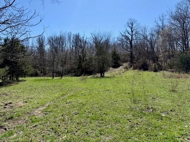 000 Barnum Tract G Drive, Cabool, MO 65689 - #2