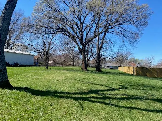 Lot 5 Roberson, Rogersville, MO 65742 - #3