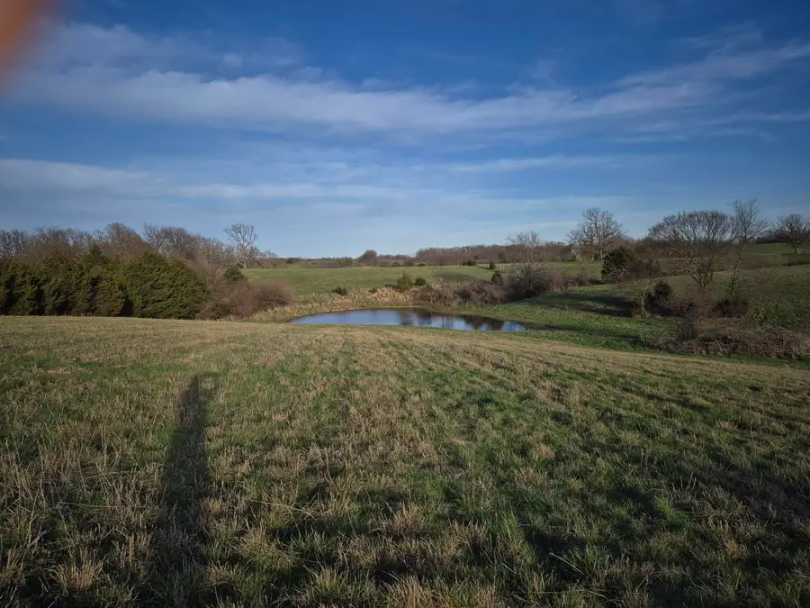 000 S Farm Road 11, Ash Grove, MO 65604 - #3