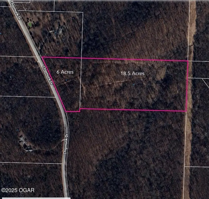 3301 Chipmunk Drive, Joplin, MO 64804 - #2