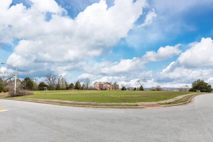 Lot 4b Gretna Road, Branson, MO 65616 - #3
