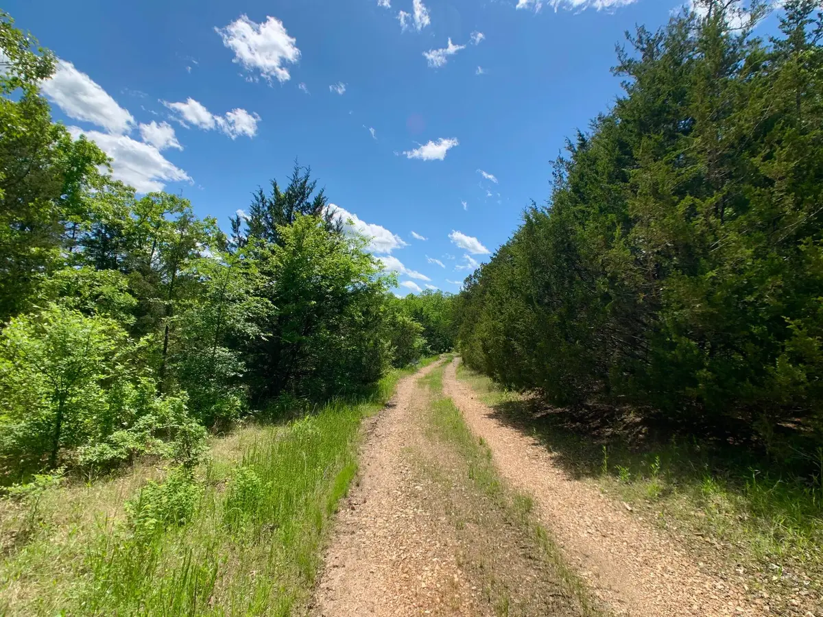 000 Farm Road 1280, Shell Knob, MO 65747 - #1