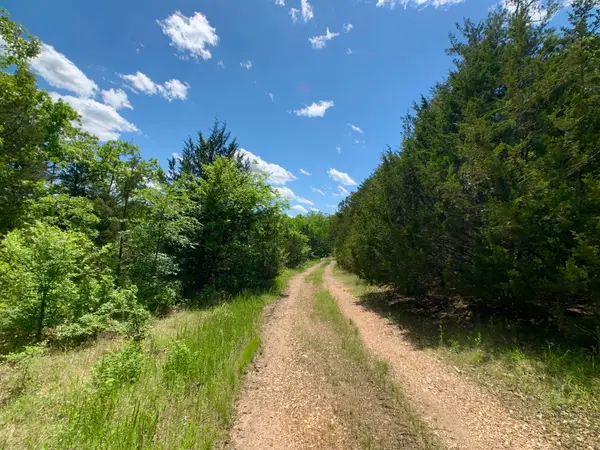 000 Farm Road 1280, Shell Knob, MO 65747