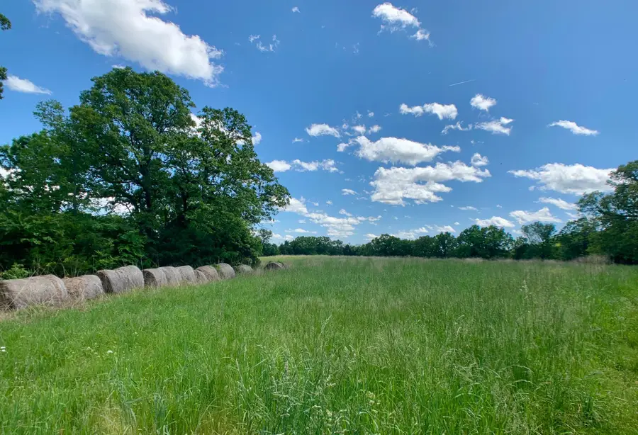 000 Farm Road 1280, Shell Knob, MO 65747 - #2