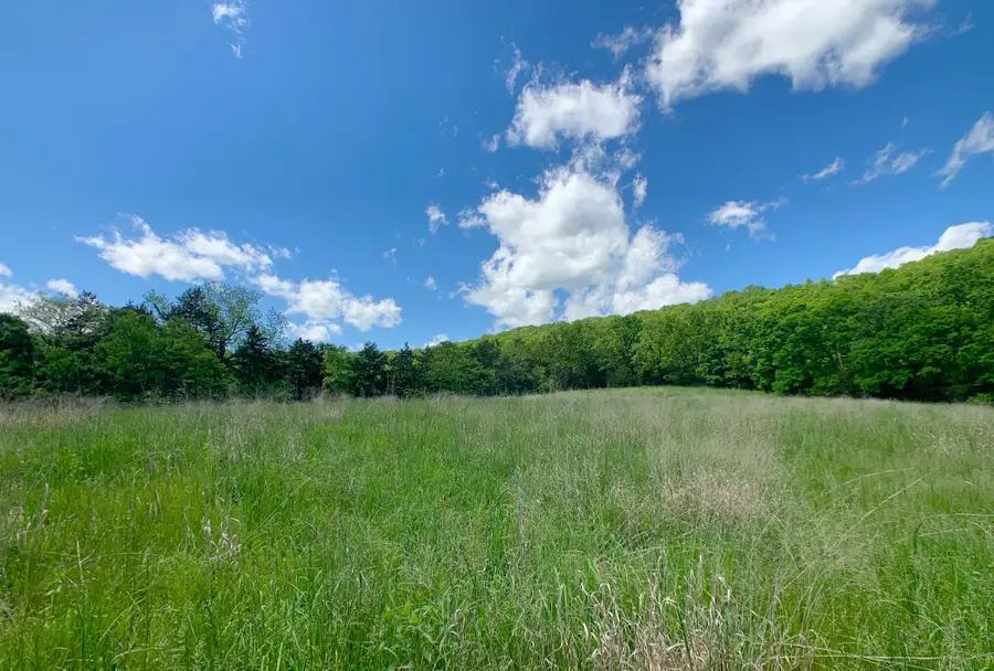 000 Farm Road 1280, Shell Knob, MO 65747 - #3