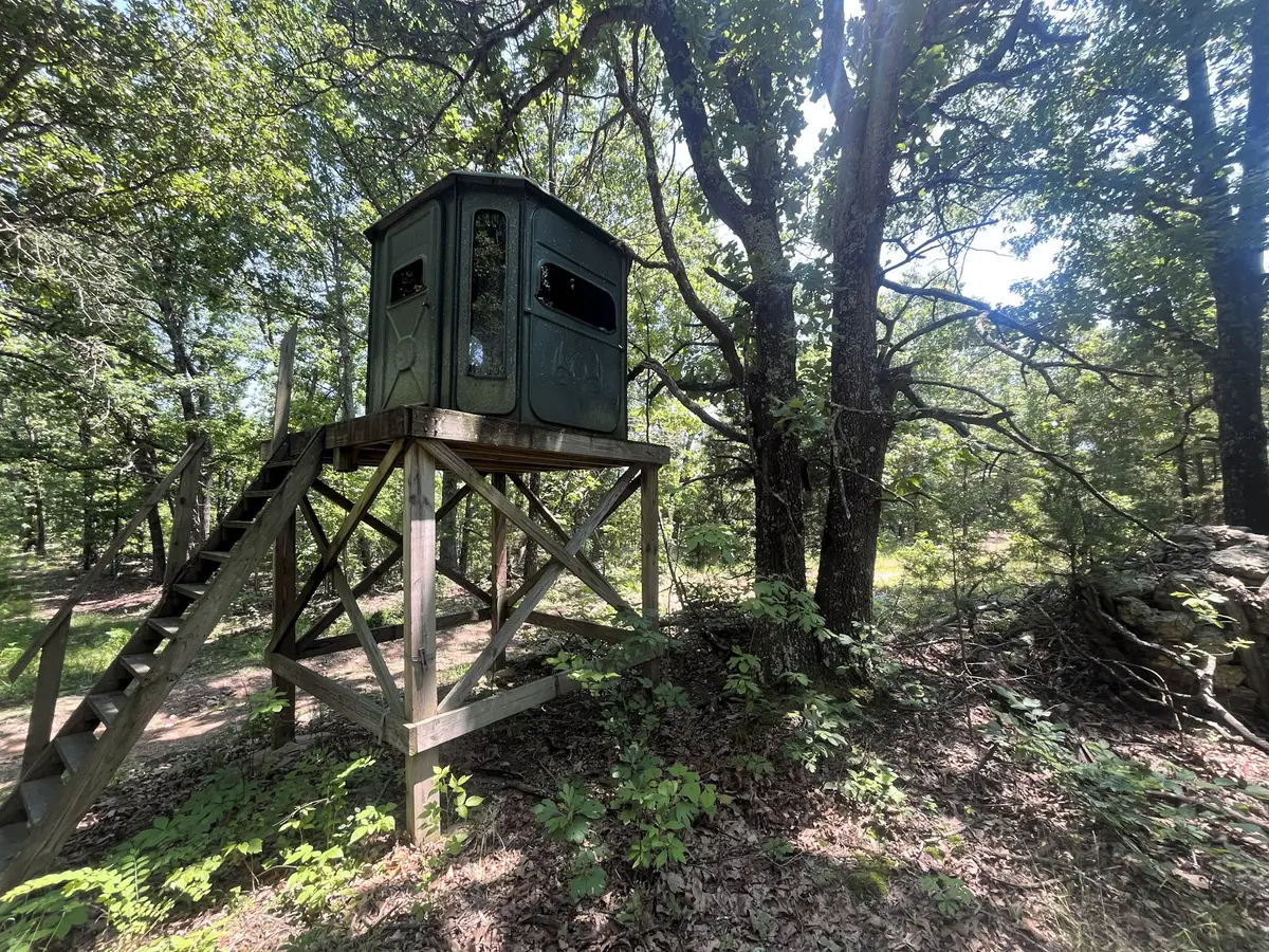 926 Summit Road, Grovespring, MO 65662 - #1