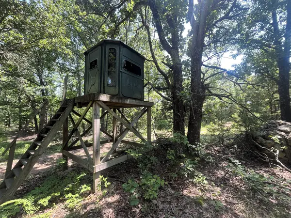 926 Summit Road, Grovespring, MO 65662